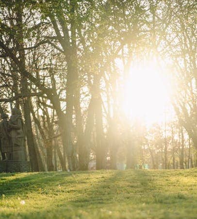 Responsive image of a summer day